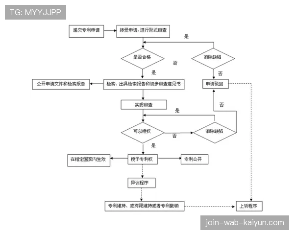 球场无障碍观众票务优先权申请与审核流程，篮球场无障碍区